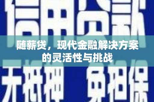 聂荣随薪贷，现代金融解决方案的灵活性与挑战