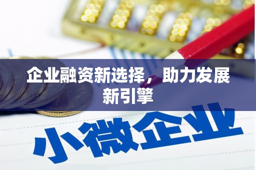 聂荣企业融资新选择，助力发展新引擎