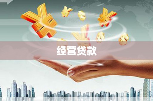 聂荣经营贷款