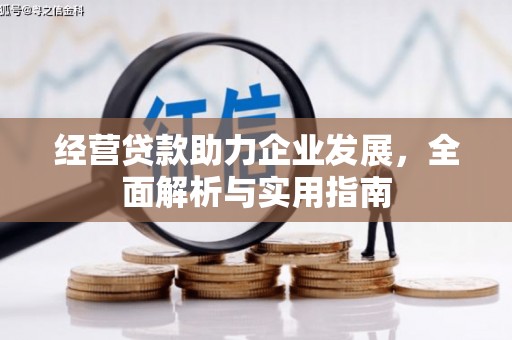 聂荣经营贷款助力企业发展，全面解析与实用指南