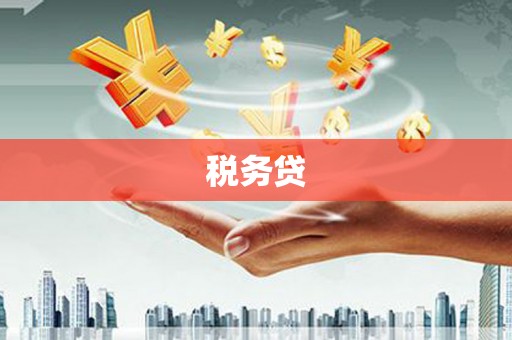 聂荣税务贷