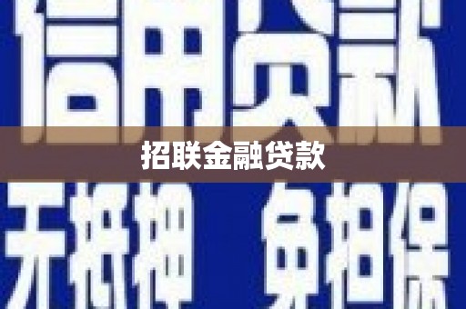 聂荣招联金融贷款