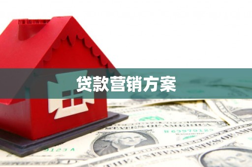聂荣贷款营销方案