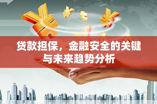 聂荣贷款担保，金融安全的关键与未来趋势分析