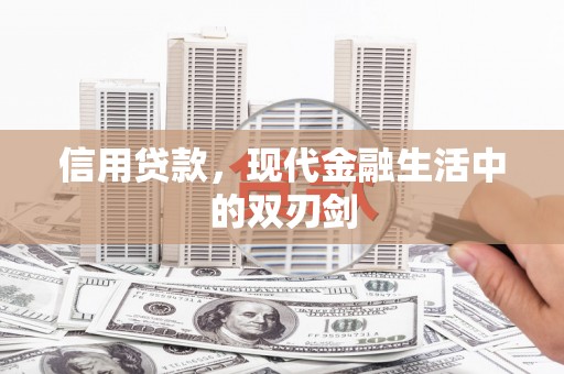 聂荣信用贷款，现代金融生活中的双刃剑