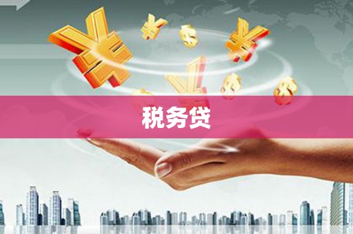 聂荣税务贷