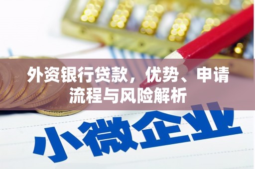 聂荣外资银行贷款，优势、申请流程与风险解析