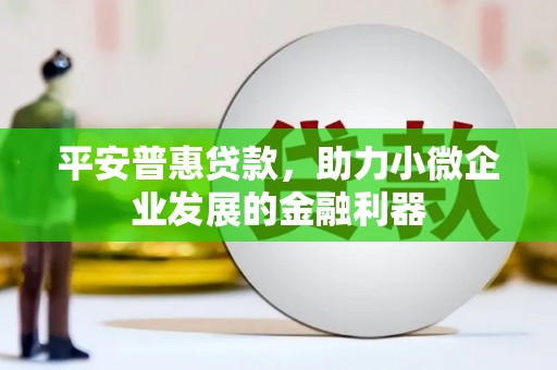 聂荣平安普惠贷款，助力小微企业发展的金融利器