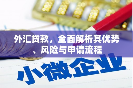 聂荣外汇贷款，全面解析其优势、风险与申请流程