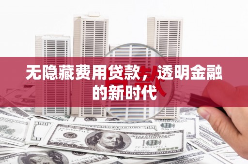 聂荣无隐藏费用贷款，透明金融的新时代