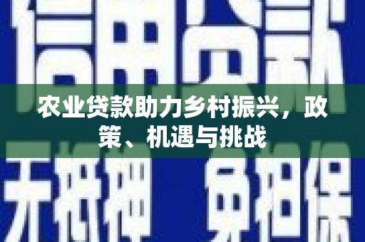 聂荣农业贷款助力乡村振兴，政策、机遇与挑战
