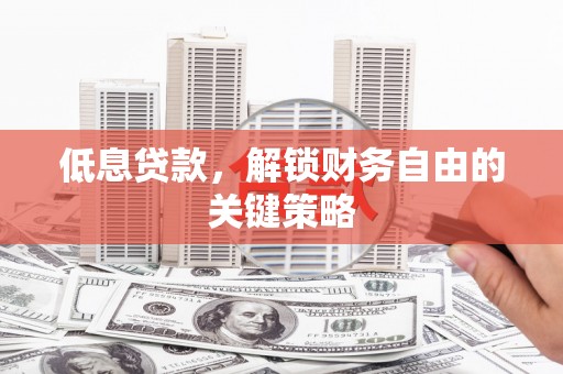 聂荣低息贷款，解锁财务自由的关键策略
