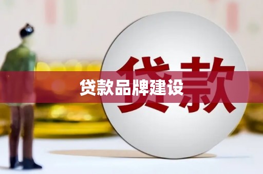 聂荣贷款品牌建设