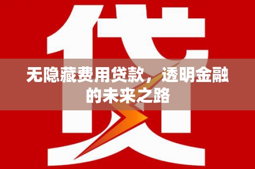 聂荣无隐藏费用贷款，透明金融的未来之路