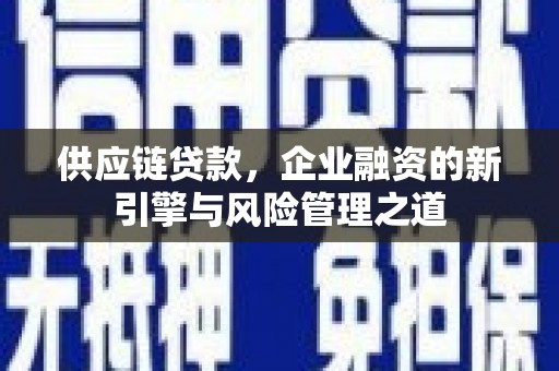 聂荣供应链贷款，企业融资的新引擎与风险管理之道