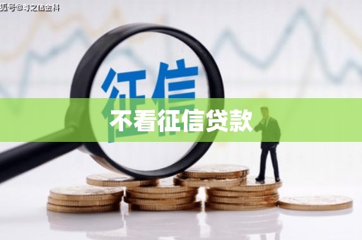 聂荣不看征信贷款