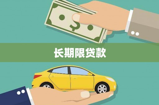 聂荣长期限贷款