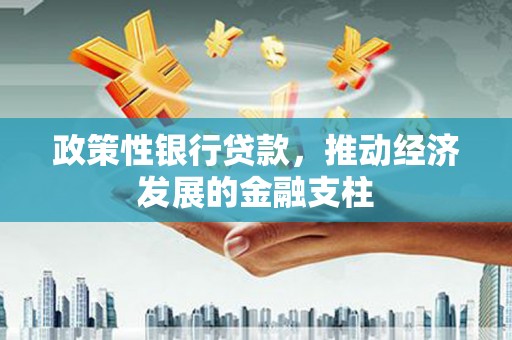 聂荣政策性银行贷款，推动经济发展的金融支柱