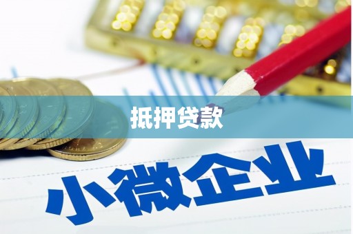 聂荣抵押贷款