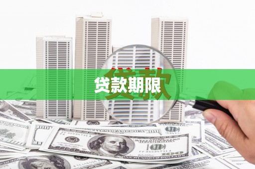 聂荣贷款期限