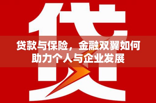 聂荣贷款与保险，金融双翼如何助力个人与企业发展