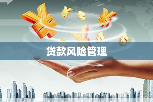 聂荣贷款风险管理