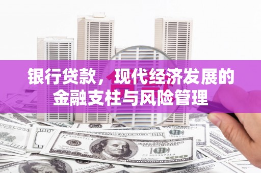 聂荣银行贷款，现代经济发展的金融支柱与风险管理