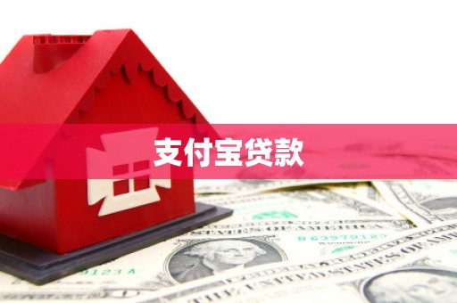 聂荣支付宝贷款