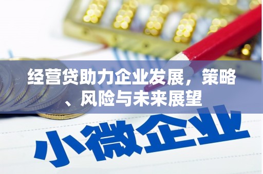 聂荣经营贷助力企业发展，策略、风险与未来展望
