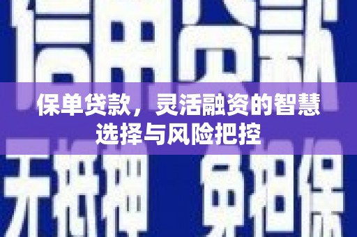 聂荣保单贷款，灵活融资的智慧选择与风险把控