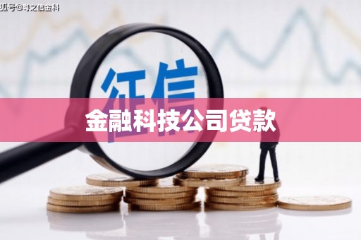 聂荣金融科技公司贷款