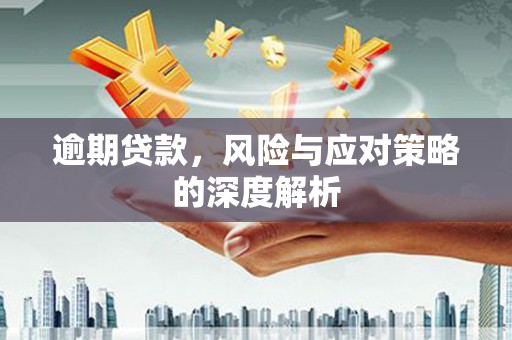 聂荣逾期贷款，风险与应对策略的深度解析