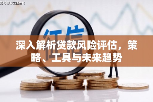 聂荣深入解析贷款风险评估，策略、工具与未来趋势