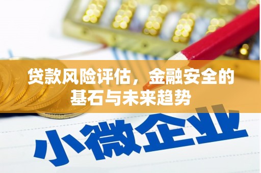 聂荣贷款风险评估，金融安全的基石与未来趋势