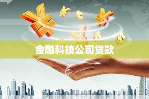 聂荣金融科技公司贷款