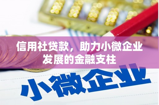 聂荣信用社贷款，助力小微企业发展的金融支柱