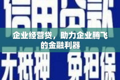 聂荣企业经营贷，助力企业腾飞的金融利器