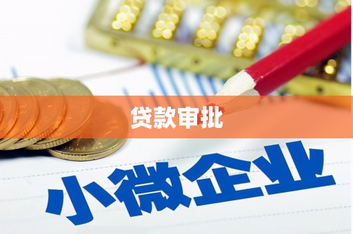 聂荣贷款审批