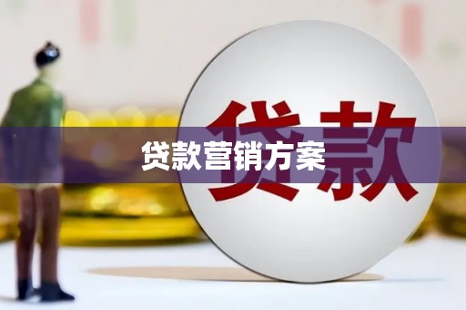 聂荣贷款营销方案