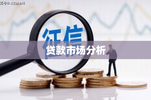 聂荣贷款市场分析
