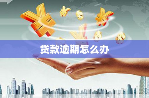 聂荣贷款逾期怎么办
