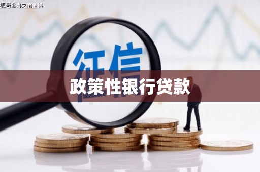 聂荣政策性银行贷款