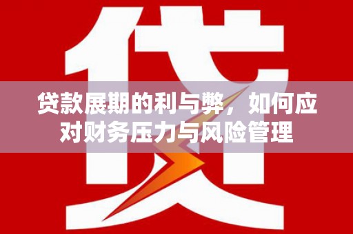 聂荣贷款展期的利与弊，如何应对财务压力与风险管理