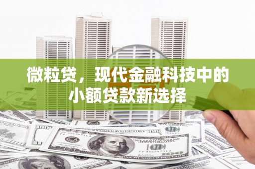 聂荣微粒贷，现代金融科技中的小额贷款新选择