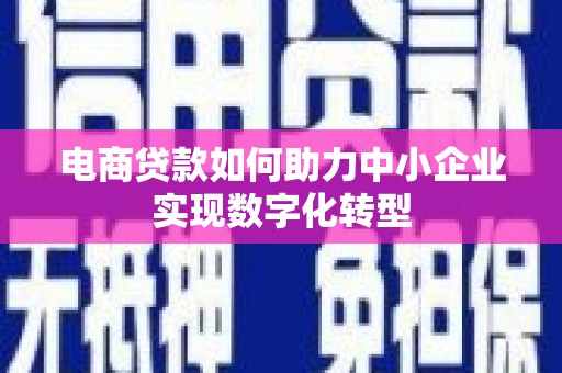 聂荣电商贷款如何助力中小企业实现数字化转型