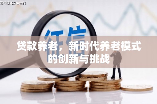 聂荣贷款养老，新时代养老模式的创新与挑战