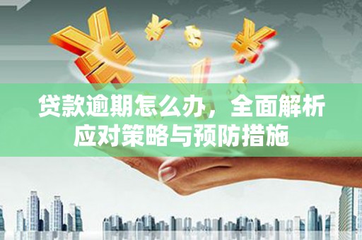聂荣贷款逾期怎么办，全面解析应对策略与预防措施