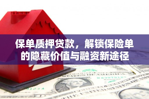 聂荣保单质押贷款，解锁保险单的隐藏价值与融资新途径
