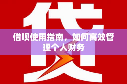 聂荣借呗使用指南，如何高效管理个人财务