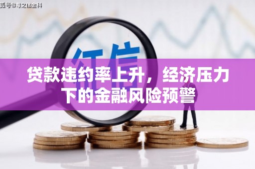 聂荣贷款违约率上升，经济压力下的金融风险预警